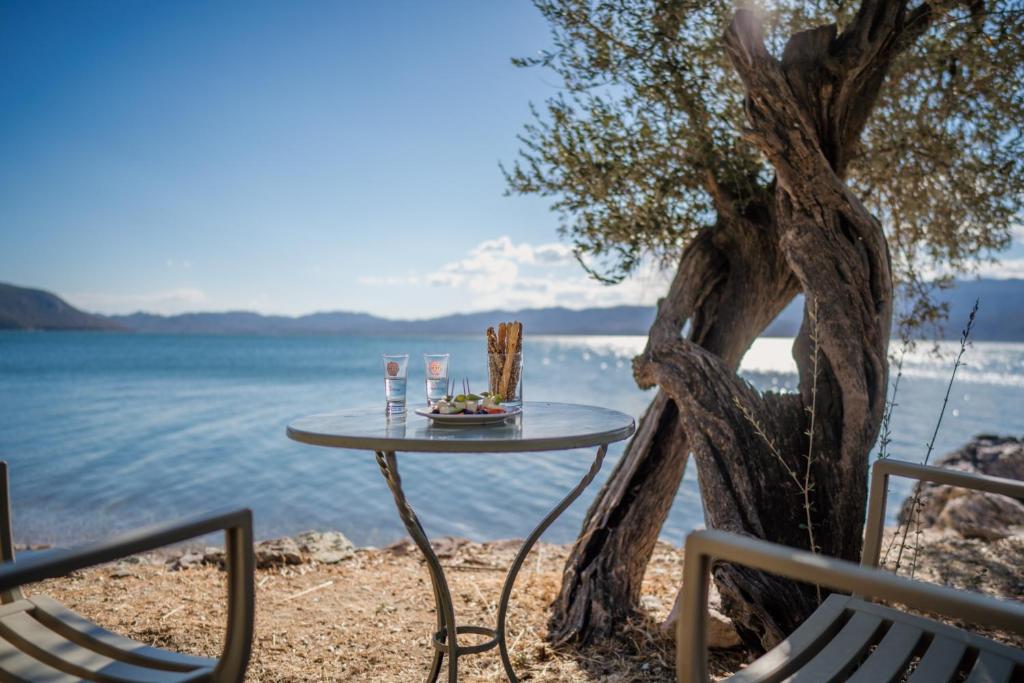 AlyfantáTraditional Stone House in Seafront Olive Grove A的水边树边的桌椅