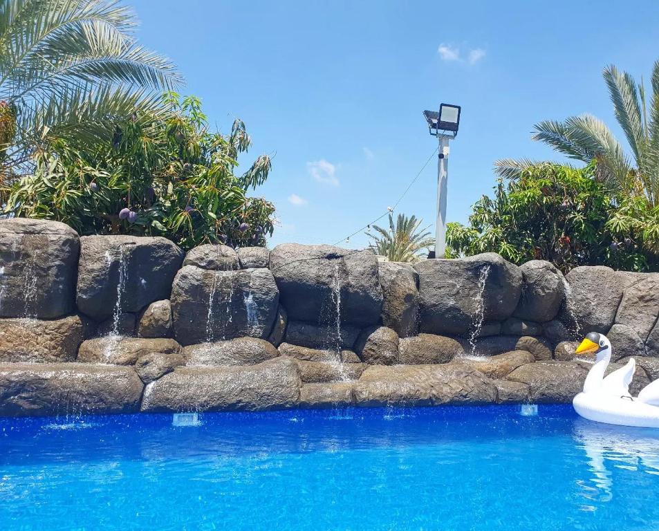 Refael Garden Villa的两个天鹅在石墙旁边的游泳池游泳