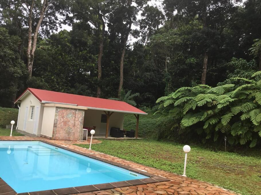 Saint-JosephLes Lucioles 1 Beau T2 en forêt tropicale avec accès piscine的一座带游泳池和大楼的房子