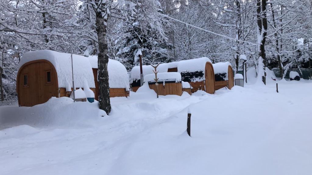 恩特拉奎Campeggio il Bosco的雪覆盖的一群房子