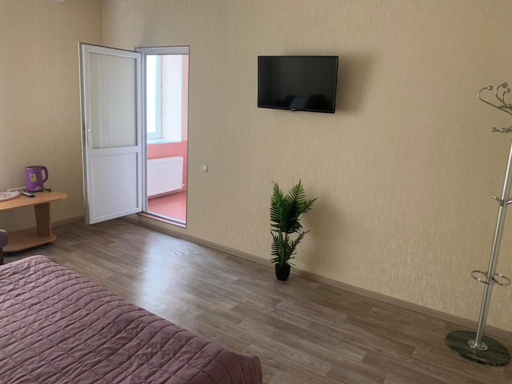 伊兹梅尔Apartment on Mira avenue的卧室配有一张床,墙上配有电视。
