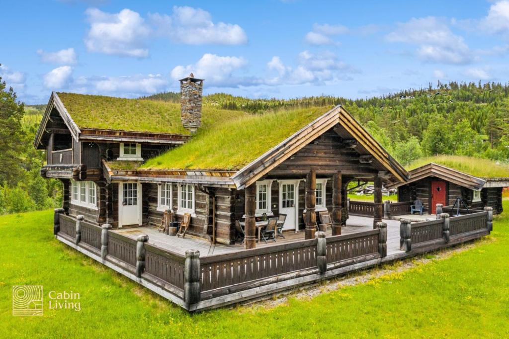 Nes i ÅdalLarge cabin on Nesfjellet pure luxury feeling的小木屋,设有草屋顶