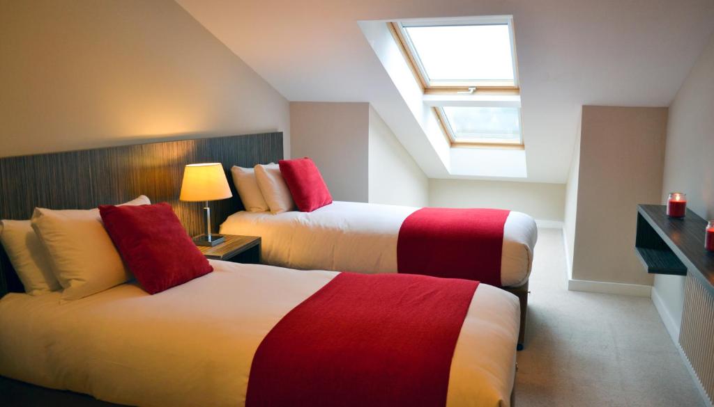 香农河畔卡里克Carrick Plaza Suites and Apartments的酒店客房设有两张床和天窗。