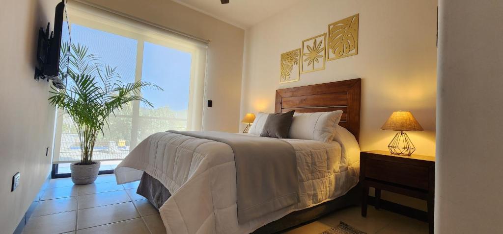 圣何塞德尔卡沃SUITES LOMBOY & PLAZA的一间卧室设有一张床和一个大窗户