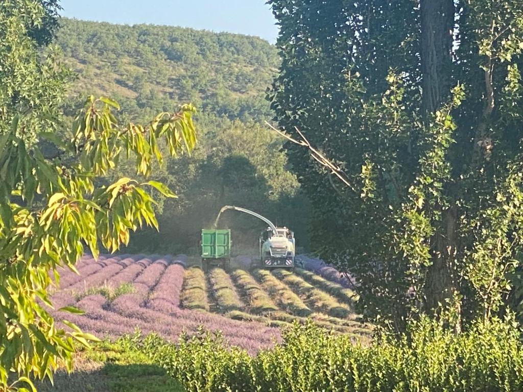 ReillanneGîte Le Tramontane Meublé de tourisme 4 étoiles Le Moulin de Prédelles的一辆白色的卡车,穿过一片花田