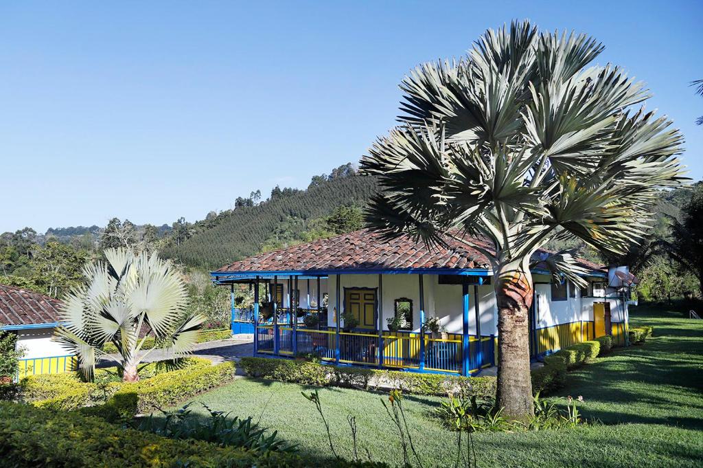 萨兰托El Rancho de Salento的前面有棕榈树的房子