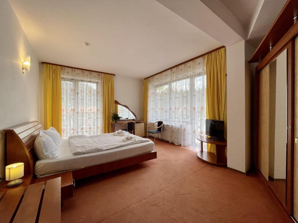 波亚纳布拉索夫Vila Condor的一间卧室设有一张床、一台电视和窗户。