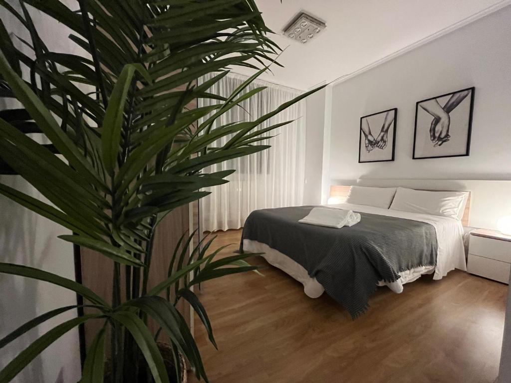 圣比森特德拉松谢拉Apartamento San Vicente de la Sonsierra Confort的一间卧室配有床和一个大植物