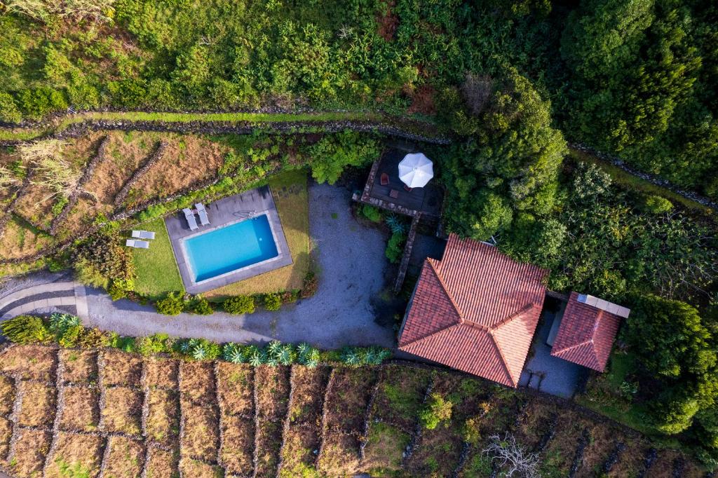 Terra AltaStone Home Casa do Caisinho Pico island的享有带游泳池的房屋的空中景致
