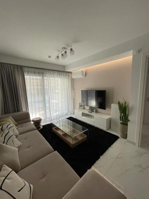 雅典Niarchos apartment III的带沙发和电视的客厅