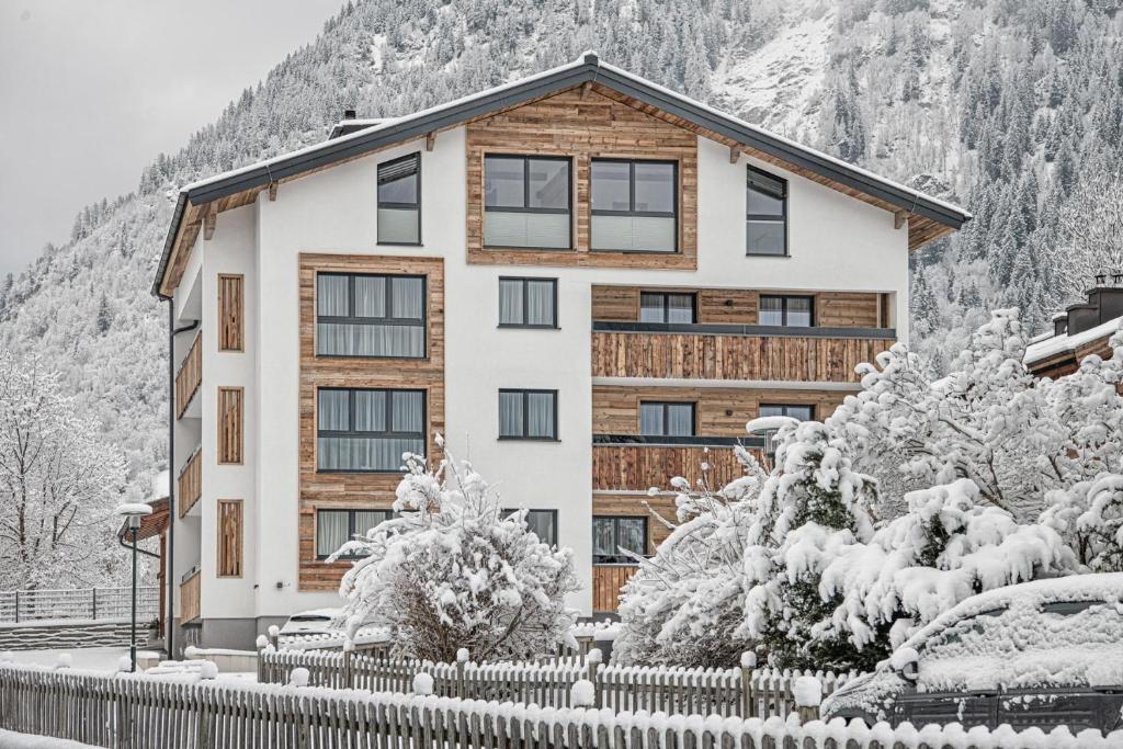 巴特霍夫加施泰因Apartment NH96 inklusive kostenfreiem Eintritt in die Alpentherme的雪中带栅栏的房子