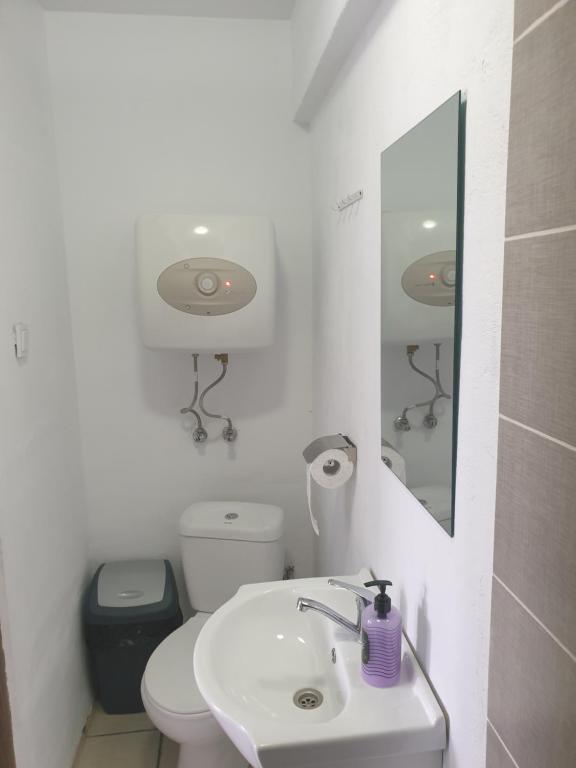 布拉索夫Vila Dionysos Brasov的白色的浴室设有卫生间和水槽。