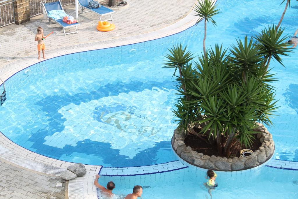 梵蒂冈角Rosy Hotel Residence的一座棕榈树游泳池,里面的人