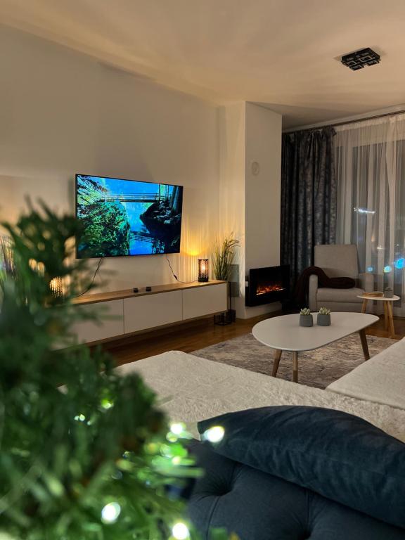 别拉什尼察Rest Apartman, Bjelašnica的一间带电视和圣诞树的客厅