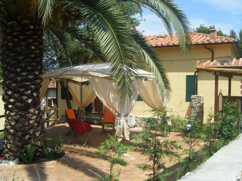 卡沃Appartamento Giacomo的一个带棕榈树和房子的庭院