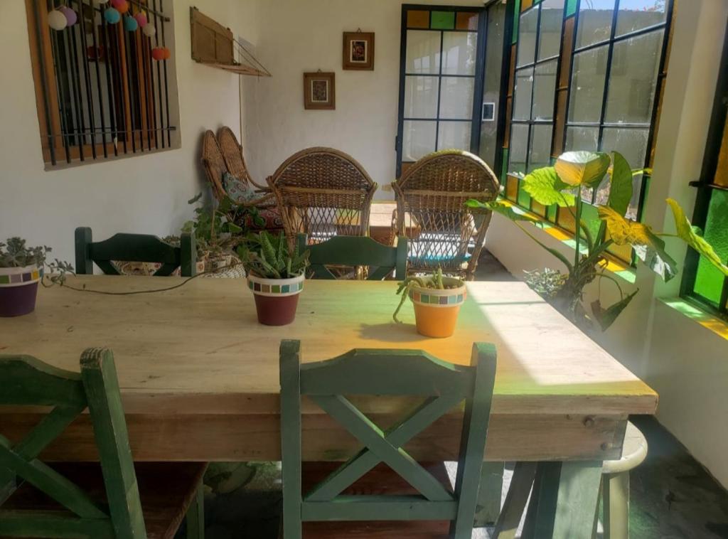 卡门-德巴塔哥内斯Única的一张木桌,上面摆放着椅子和盆栽植物
