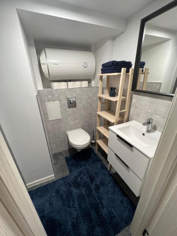里加GREEN Apartment的一间带卫生间、水槽和镜子的浴室