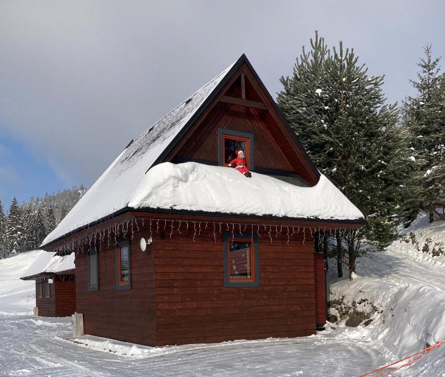 LitmanováChata Snežienka的一座有雪盖屋顶的小房子,窗户上的人