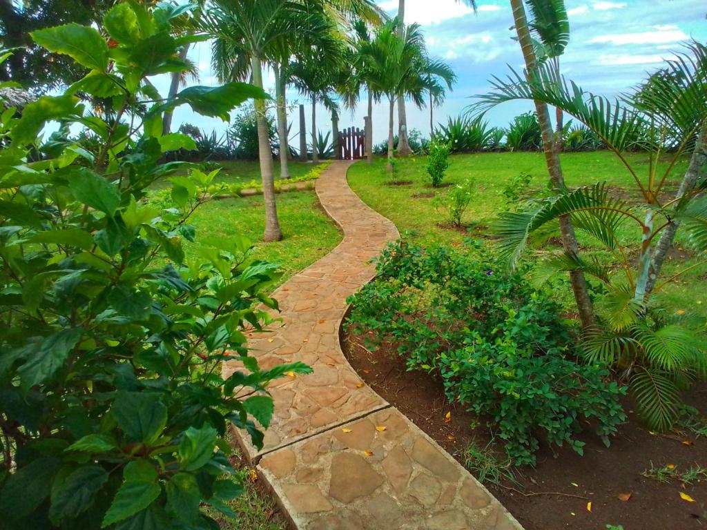 贝岛Villa Colibri的一条穿过棕榈树公园的小路