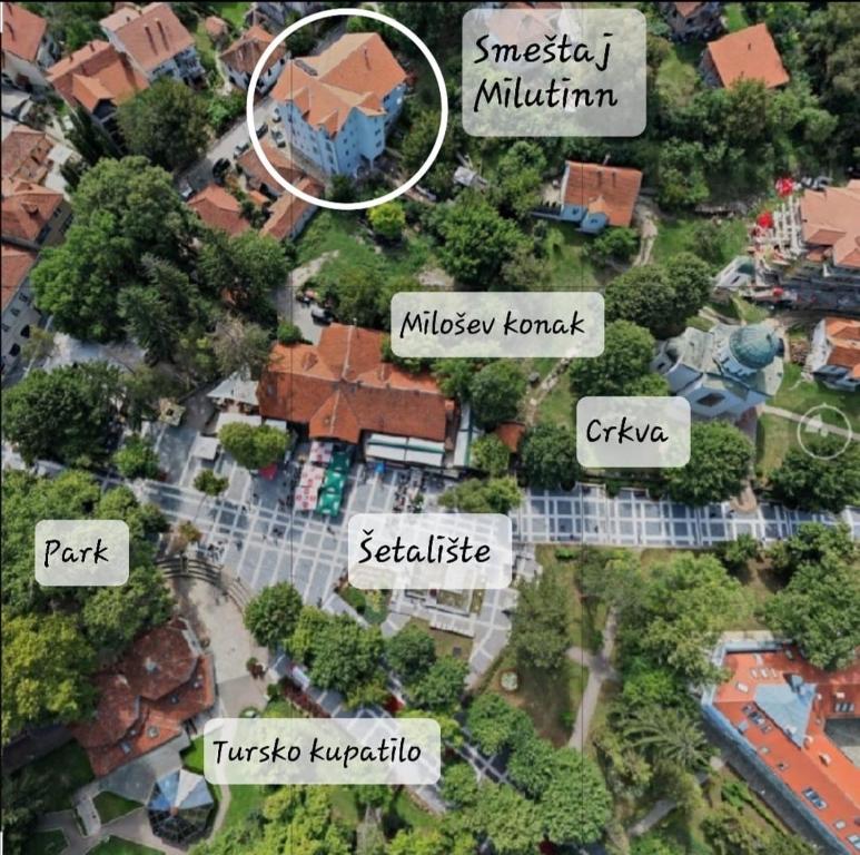 索科矿泉村Milutinn-Trešnja的郊区的房屋和树木地图