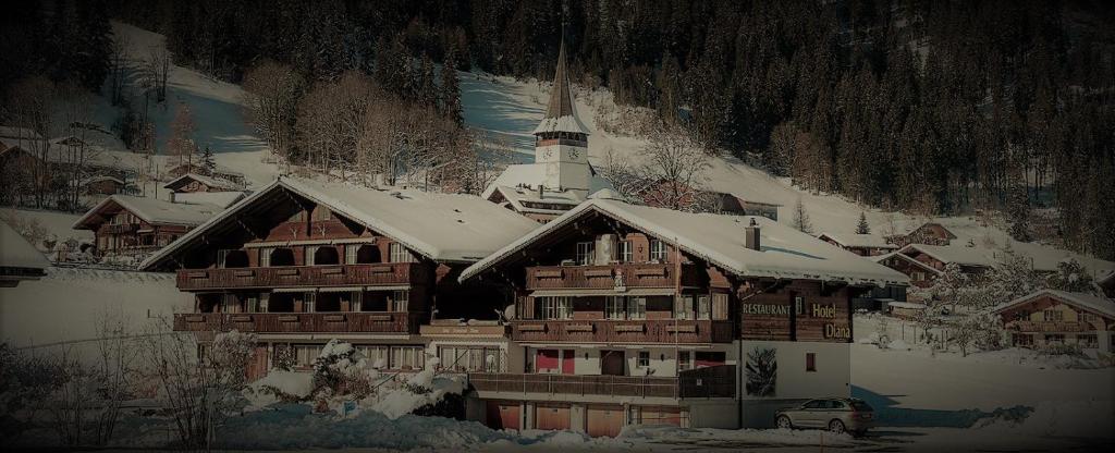 GrodoeyHotel & Restaurant Diana的雪顶上的滑雪小屋