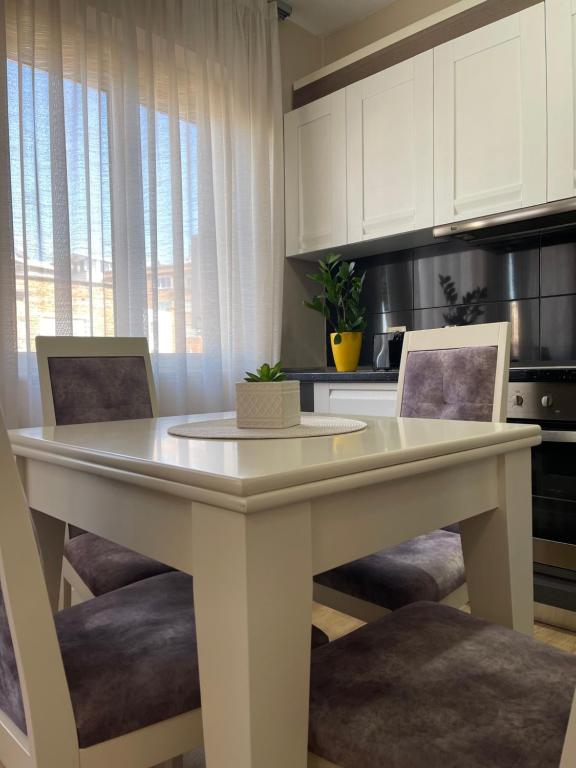 地拉那Tirana New Bazaar- Apartment no-1的厨房配有一张白色的桌子和两把椅子