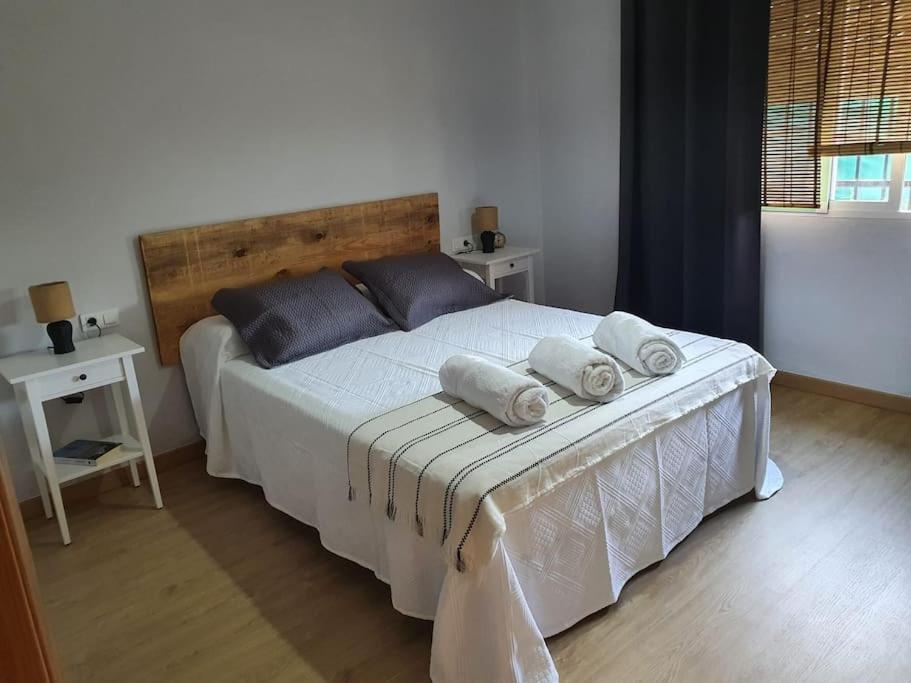 格拉纳达Casa rural en Padul entre Sierra Nevada y la Costa的一间卧室配有一张带白色床单和蓝色枕头的大床。