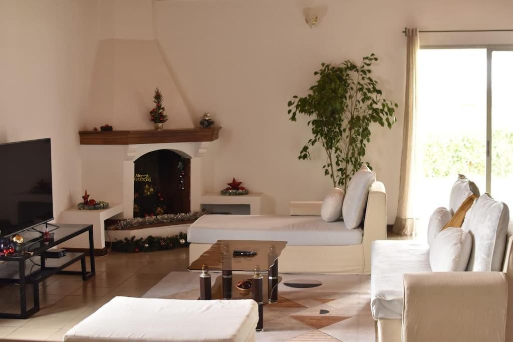 塔那那利佛Villa paisible proche des rizières的带沙发和壁炉的客厅