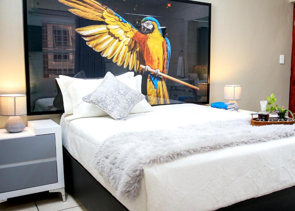 肯普顿帕克Jose Guesthouse的卧室的墙上装饰有鹦鹉画