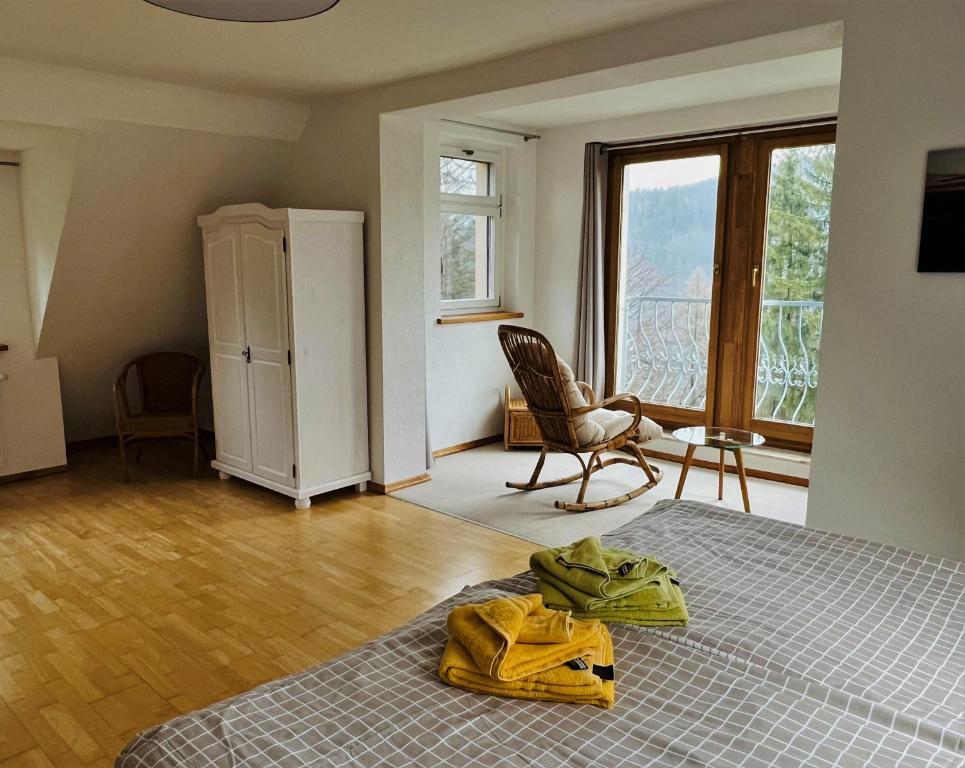 ReinhardtsdorfWaldhufenhaus in Schöna的一间卧室配有一张床、一把椅子和窗户。