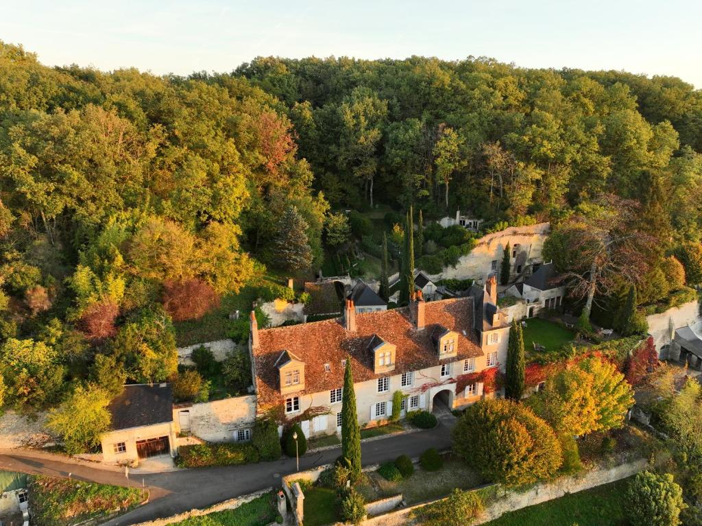 NazellesChâteau de Nazelles Amboise的树林中房屋的空中景观
