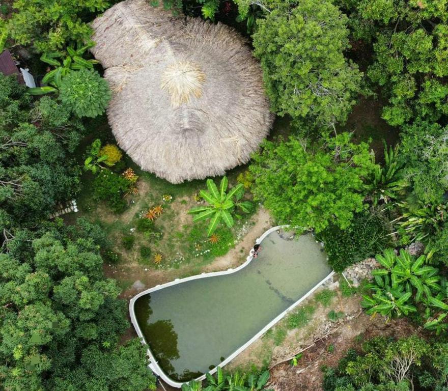 帕洛米诺Finca Los Mangos的森林池塘的空中景观