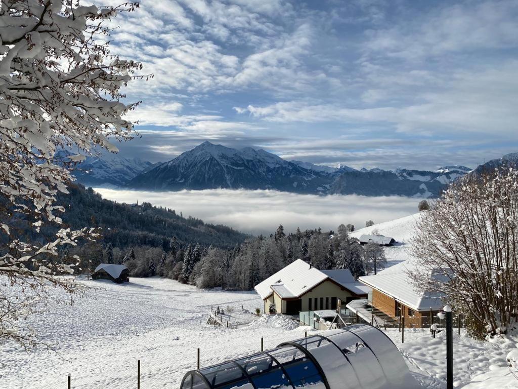 海利根舒文迪Schwendi-Blueme的雪中山景度假屋