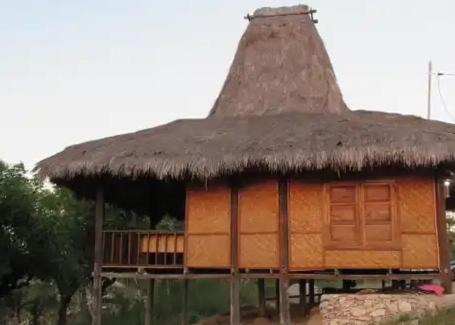 NdanguGUEST HOUSE的茅草屋顶的小小屋