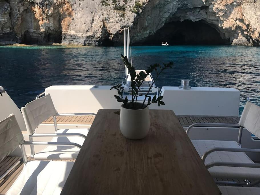 爱琴娜岛Motor yacht 45'的船上的桌子上放着盆栽植物
