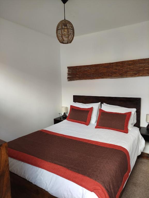 安托法加斯塔Hostal Geosol的一间卧室配有一张带红色枕头的大床
