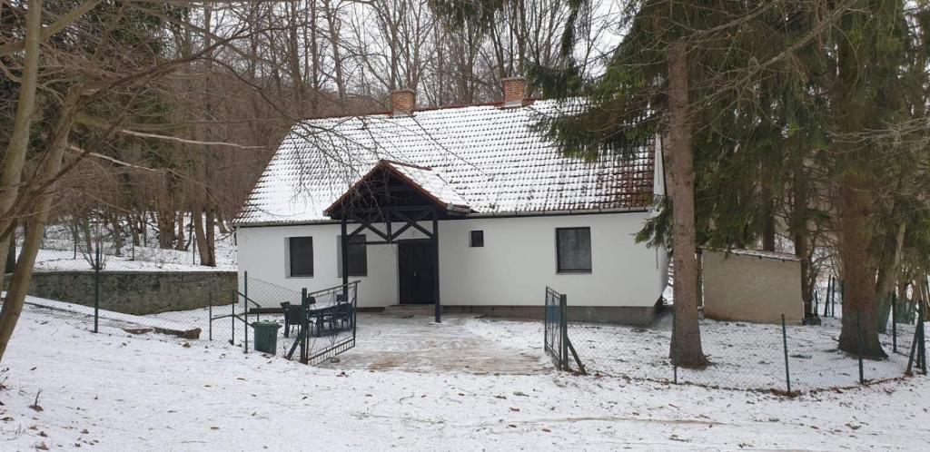 马特劳森蒂姆赖Forest gate Vendégház的雪中带屋顶的白色房子