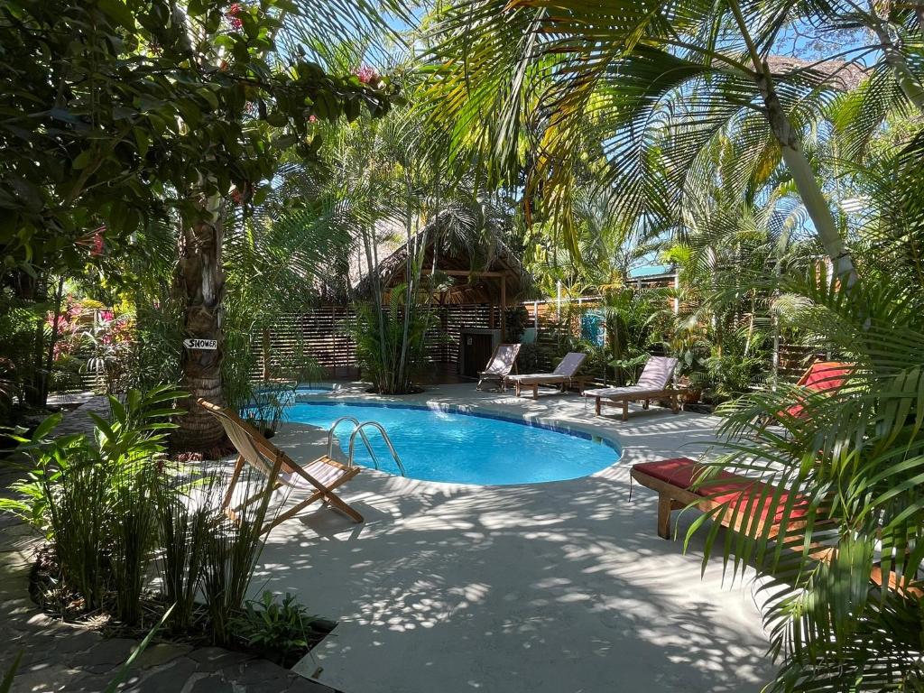圣塔特蕾莎海滩Anam Apartments的棕榈树庭院内的游泳池