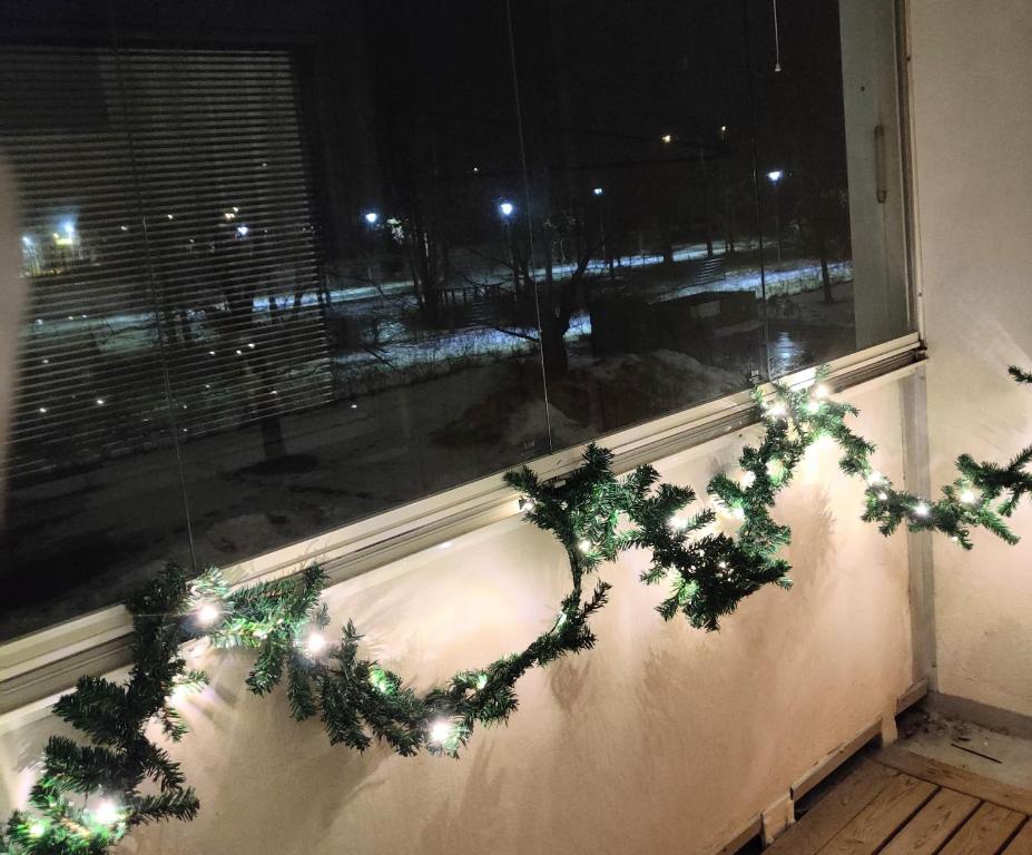波里Kodikas kaksio keskustassa的窗台上带圣诞灯的窗户