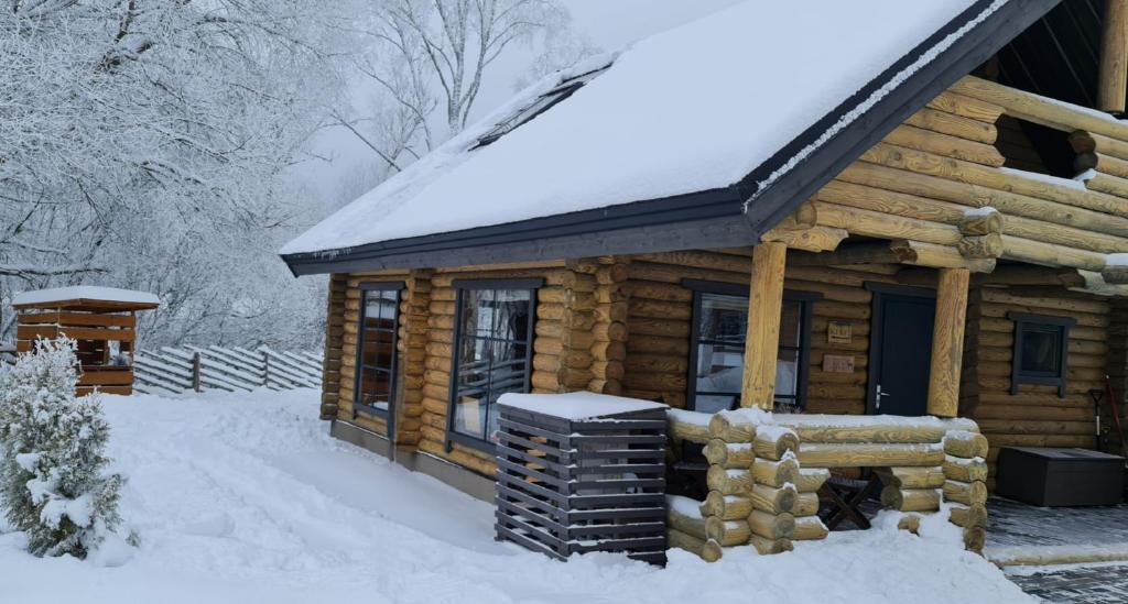 奥泰佩NPLIHOUSE的雪地小木屋