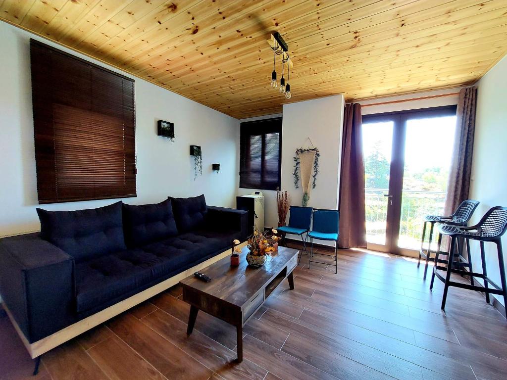 利马索尔Agros Green Valley Suites的客厅配有黑色沙发和桌子