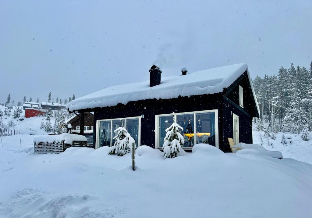 海姆瑟达尔Great cabin in Hemsedal wifi golf ski eldorado的前面的雪覆盖的房子