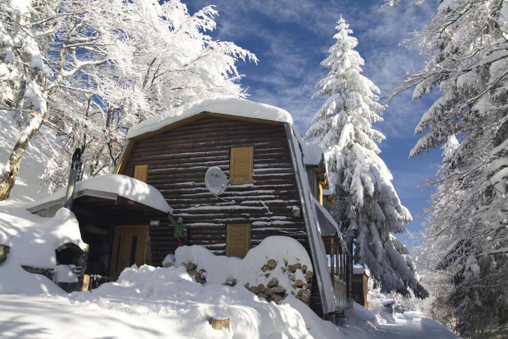 JarabáChata Božena - Čertovica的雪中小屋,有雪覆盖的树木