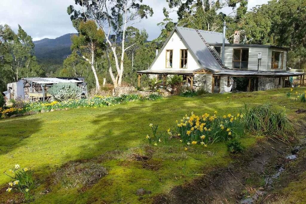 Simpsons BayThe Stone Cottage - Bruny Island的花田中的白色房子