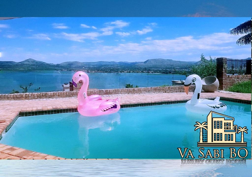 哈特比斯普特Va sabi bo, luxury family living in Hartbeespoort Dam的两个充气火烈鸟在湖边的游泳池