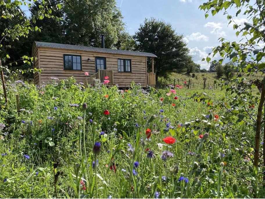 雷纳姆Pilgrims Nap的小屋前方的花田