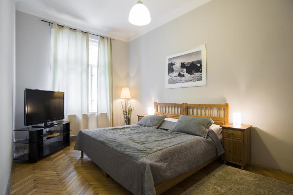 布拉格都斯尼公寓的一间卧室配有一张床和一台平面电视