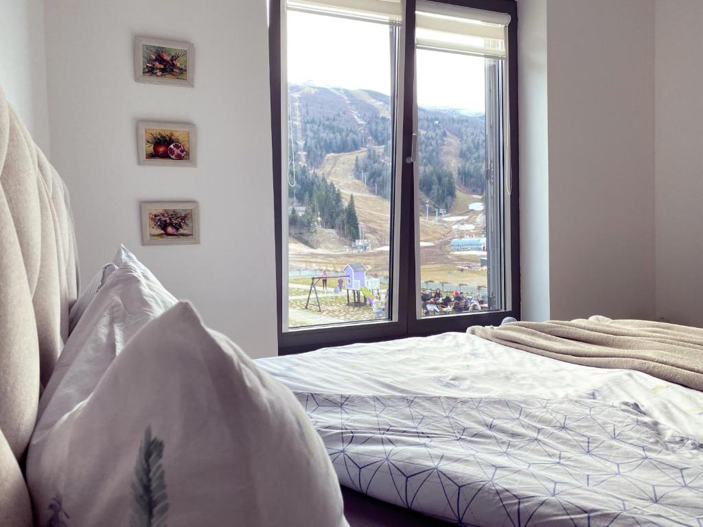 别拉什尼察Divernoa Mountain Bjelašnica的一间卧室设有一张床和一个大窗户