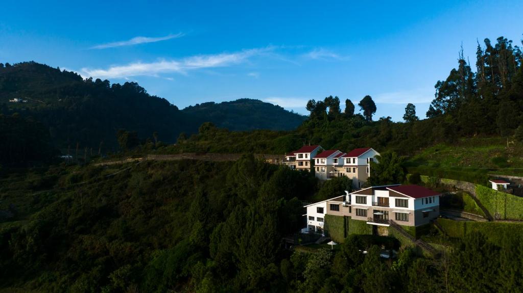 科代卡纳尔Dvara Luxury Resort Kodaikanal的山丘上树木丛生的房屋