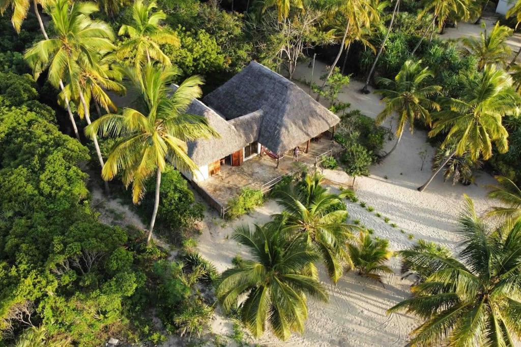 Ushongo MabaoniBaobab Beach Villa, Ushongo Beach, Pangani的棕榈树房屋的空中景致